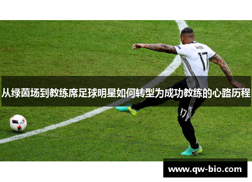 从绿茵场到教练席足球明星如何转型为成功教练的心路历程